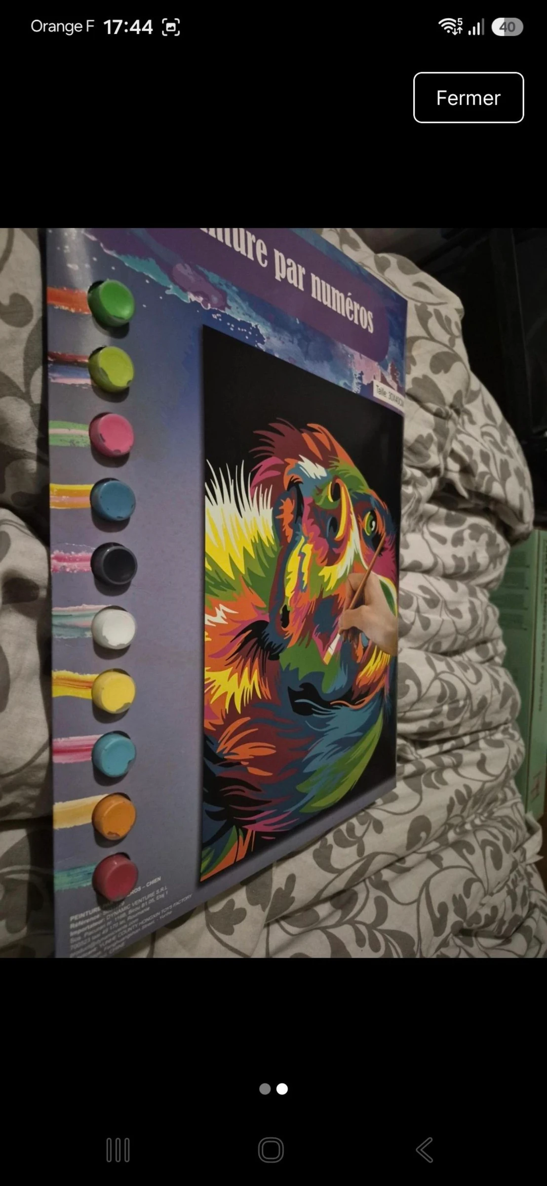Pintura por números – photo 2